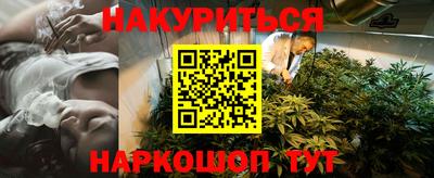трава Кингисепп