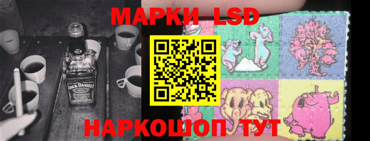 Конопля Отрадный