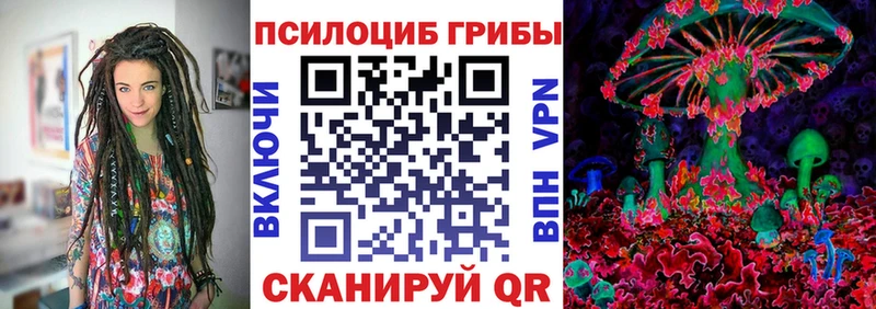 ссылка на мегу ONION  маркетплейс как зайти  Галлюциногенные грибы Magic Shrooms  Отрадный 