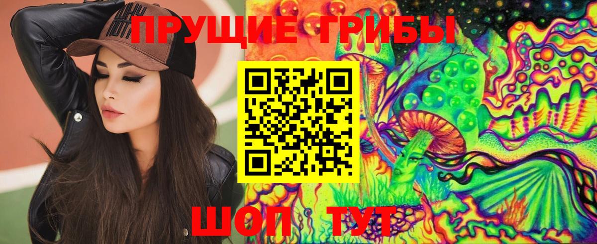 Отрадный  Галлюциногенные грибы MAGIC MUSHROOMS  Вход с VPN 