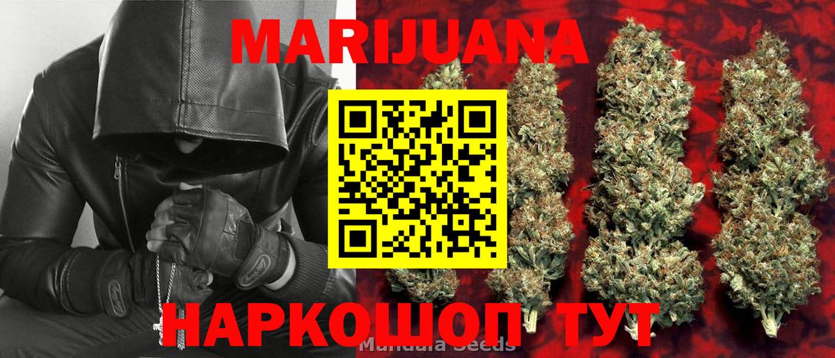 Каннабис OG Kush Отрадный